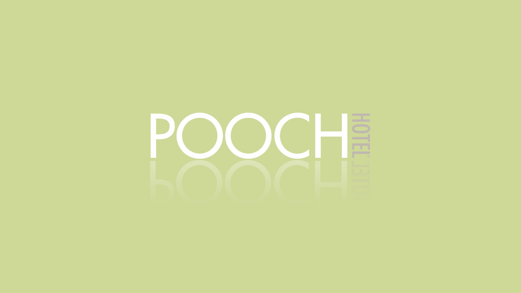 Pooch Hotel site Thallo Design